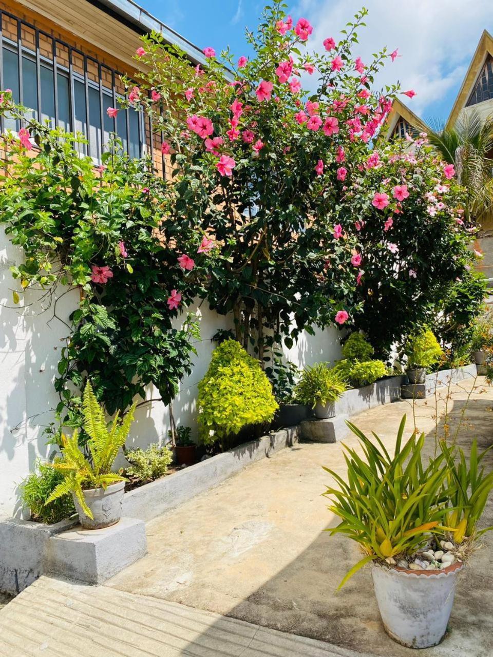 Chez Jeanne Chambre D'Hote أنتاناناريفو المظهر الخارجي الصورة